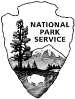 NPS